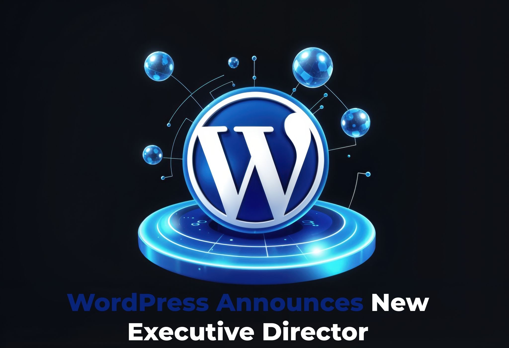 Read more about the article WordPress Announces New Executive Director